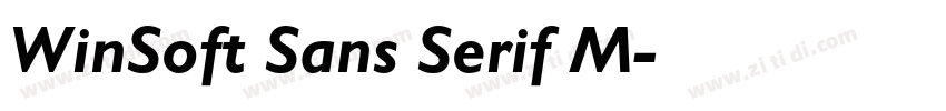 WinSoft Sans Serif M字体转换